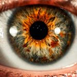 Myths Surrounding Eye Color
